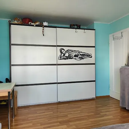 Gemutliches Ein- Bis Doppelbett-zimmer Mit Katze ゲストハウス